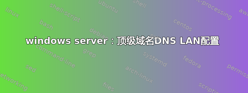 windows server：顶级域名DNS LAN配置