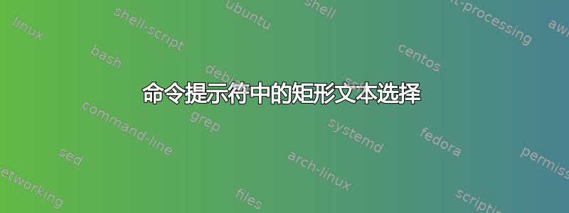 命令提示符中的矩形文本选择