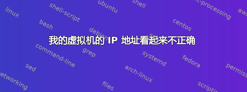 我的虚拟机的 IP 地址看起来不正确