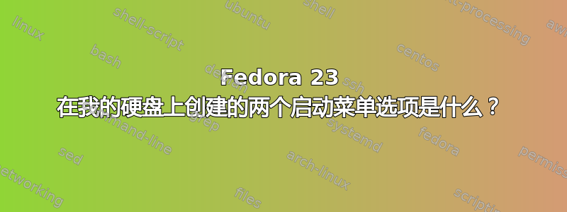 Fedora 23 在我的硬盘上创建的两个启动菜单选项是什么？