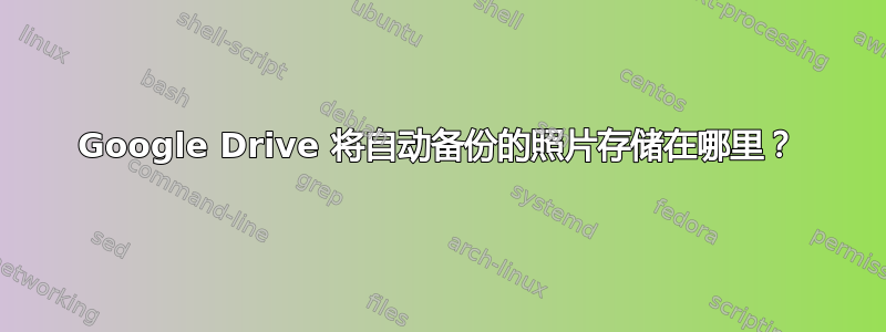 Google Drive 将自动备份的照片存储在哪里？