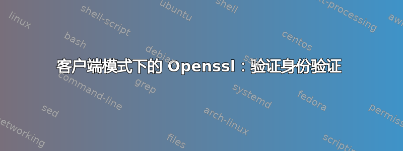 客户端模式下的 Openssl：验证身份验证