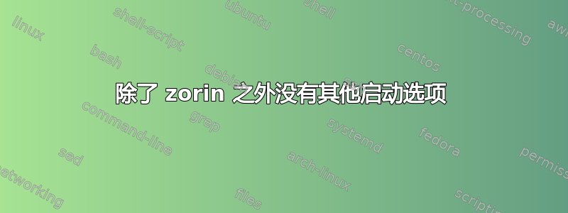 除了 zorin 之外没有其他启动选项