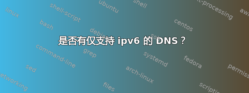 是否有仅支持 ipv6 的 DNS？