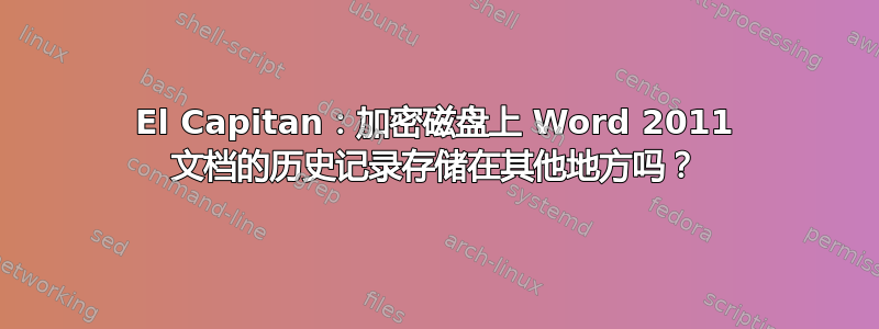 El Capitan：加密磁盘上 Word 2011 文档的历史记录存储在其他地方吗？