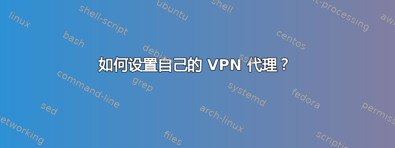 如何设置自己的 VPN 代理？