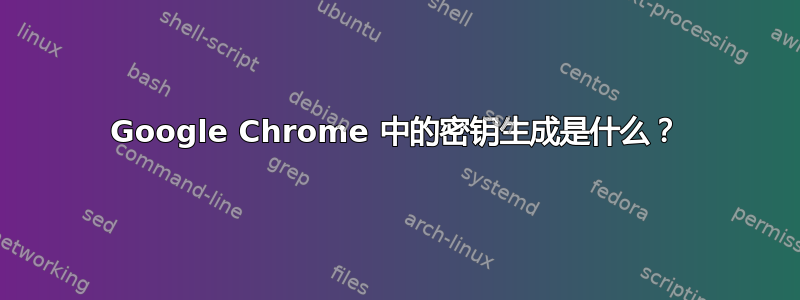 Google Chrome 中的密钥生成是什么？