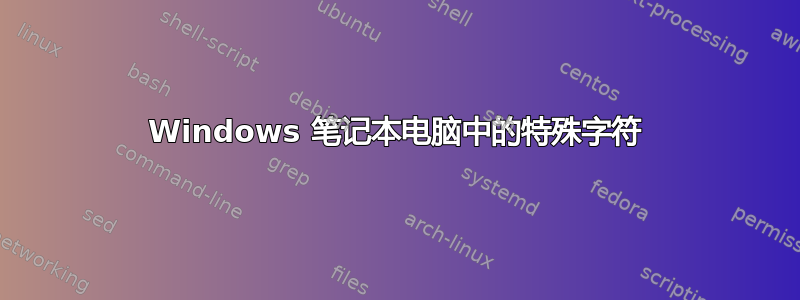 Windows 笔记本电脑中的特殊字符