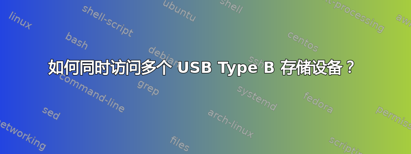 如何同时访问多个 USB Type B 存储设备？