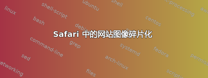 Safari 中的网站图像碎片化