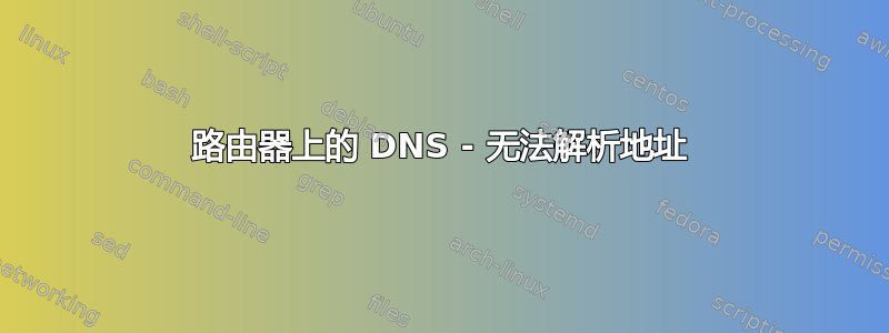 路由器上的 DNS - 无法解析地址