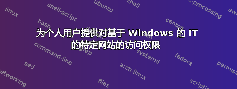 为个人用户提供对基于 Windows 的 IT 的特定网站的访问权限 