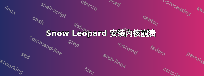 Snow Leopard 安装内核崩溃