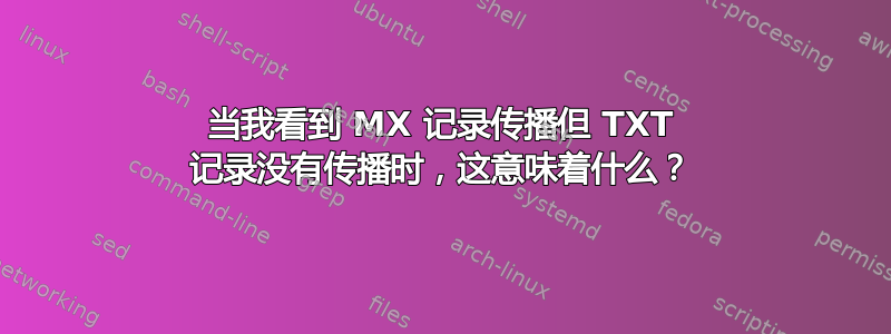 当我看到 MX 记录传播但 TXT 记录没有传播时，这意味着什么？