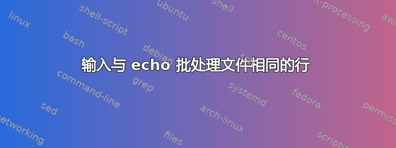 输入与 echo 批处理文件相同的行