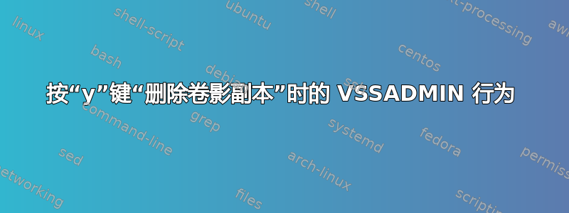 按“y”键“删除卷影副本”时的 VSSADMIN 行为