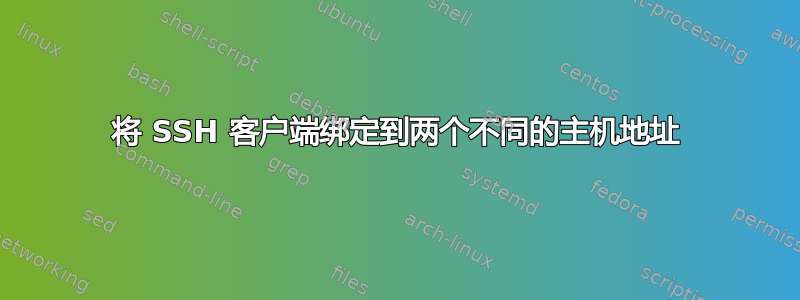 将 SSH 客户端绑定到两个不同的主机地址