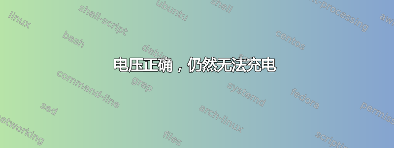 电压正确，仍然无法充电