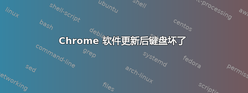 Chrome 软件更新后键盘坏了