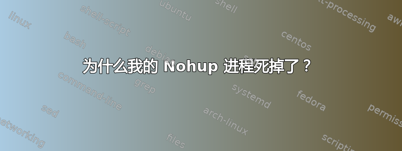 为什么我的 Nohup 进程死掉了？