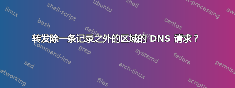 转发除一条记录之外的区域的 DNS 请求？