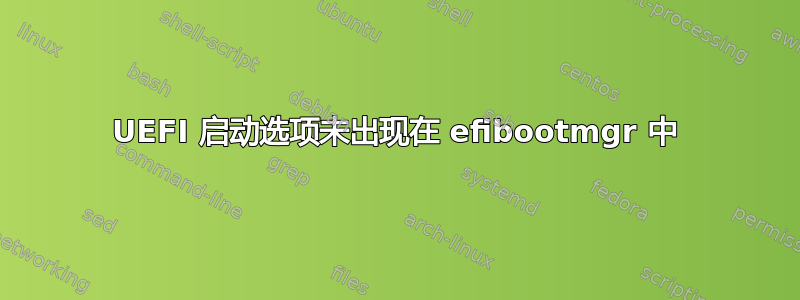 UEFI 启动选项未出现在 efibootmgr 中