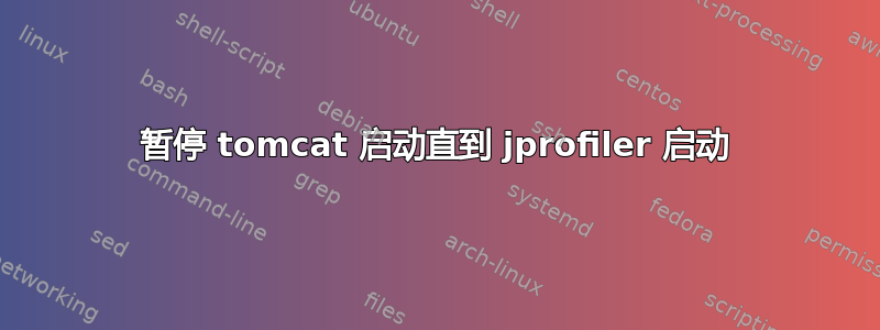 暂停 tomcat 启动直到 jprofiler 启动