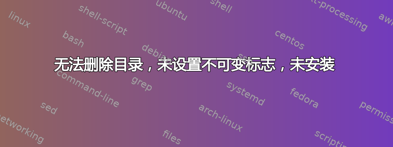 无法删除目录，未设置不可变标志，未安装