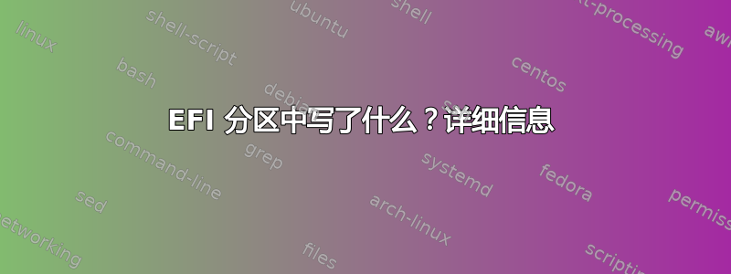 EFI 分区中写了什么？详细信息