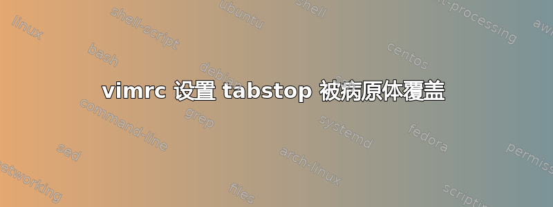 vimrc 设置 tabstop 被病原体覆盖