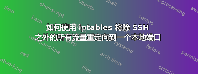 如何使用 iptables 将除 SSH 之外的所有流量重定向到一个本地端口