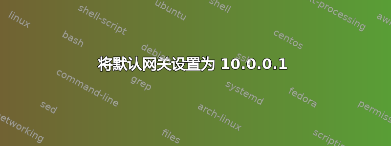 将默认网关设置为 10.0.0.1