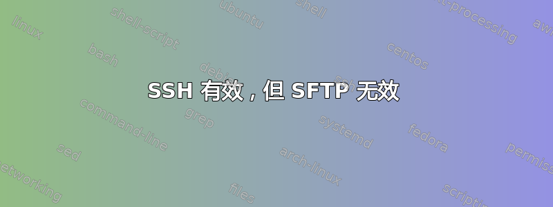 SSH 有效，但 SFTP 无效