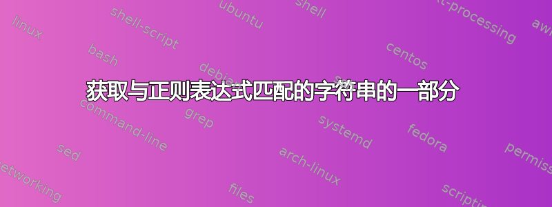 获取与正则表达式匹配的字符串的一部分