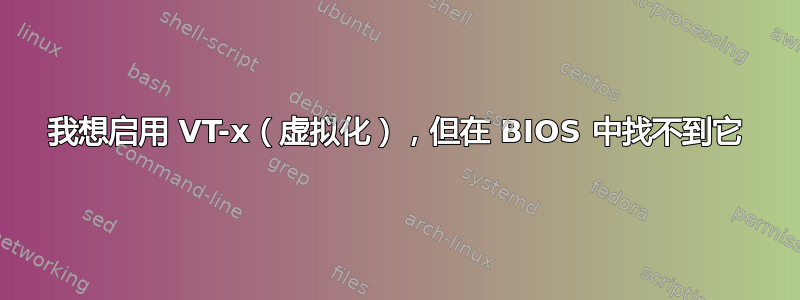 我想启用 VT-x（虚拟化），但在 BIOS 中找不到它