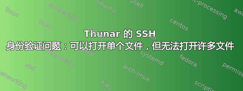 Thunar 的 SSH 身份验证问题：可以打开单个文件，但无法打开许多文件