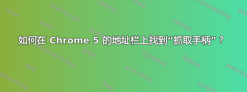 如何在 Chrome 5 的地址栏上找到“抓取手柄”？