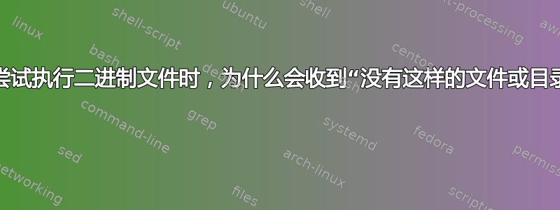 当我尝试执行二进制文件时，为什么会收到“没有这样的文件或目录”？ 