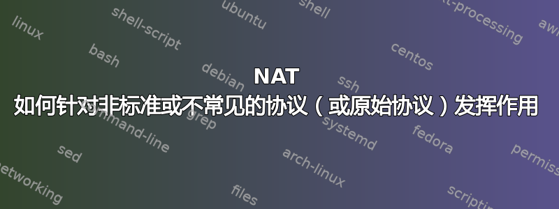 NAT 如何针对非标准或不常见的协议（或原始协议）发挥作用