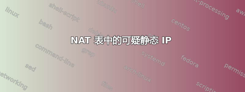 NAT 表中的可疑静态 IP