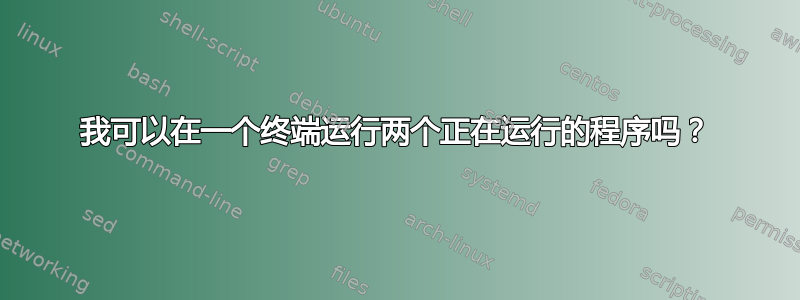 我可以在一个终端运行两个正在运行的程序吗？