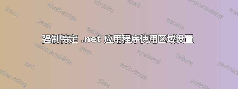 强制特定 .net 应用程序使用区域设置