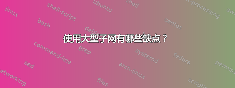 使用大型子网有哪些缺点？