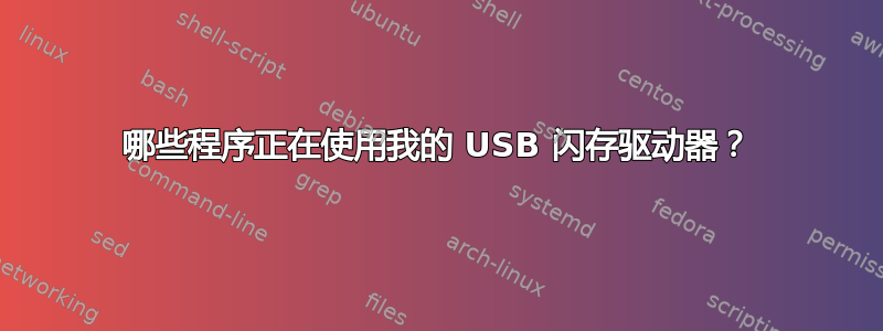 哪些程序正在使用我的 USB 闪存驱动器？