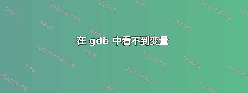 在 gdb 中看不到变量