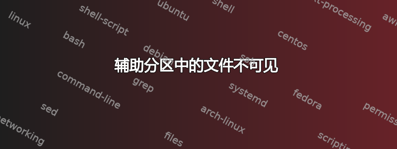 辅助分区中的文件不可见