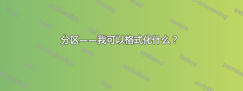 分区——我可以格式化什么？