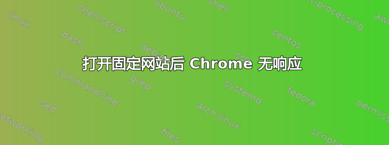 打开固定网站后 Chrome 无响应