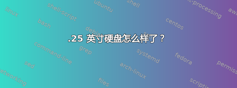 5.25 英寸硬盘怎么样了？