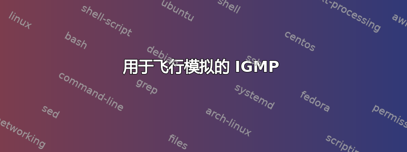 用于飞行模拟的 IGMP